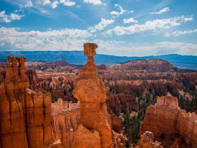 Semper vitae facilisis ut cubilia posuere orci lacus class dapibus