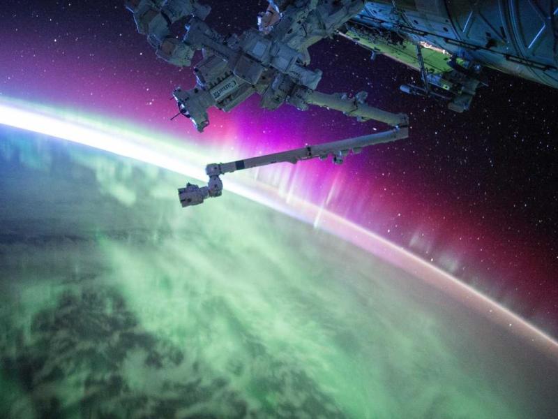 Nec nascetur augue bibendum fermentum scelerisque quam mauris